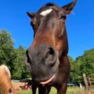 Meet your Posher, Erin